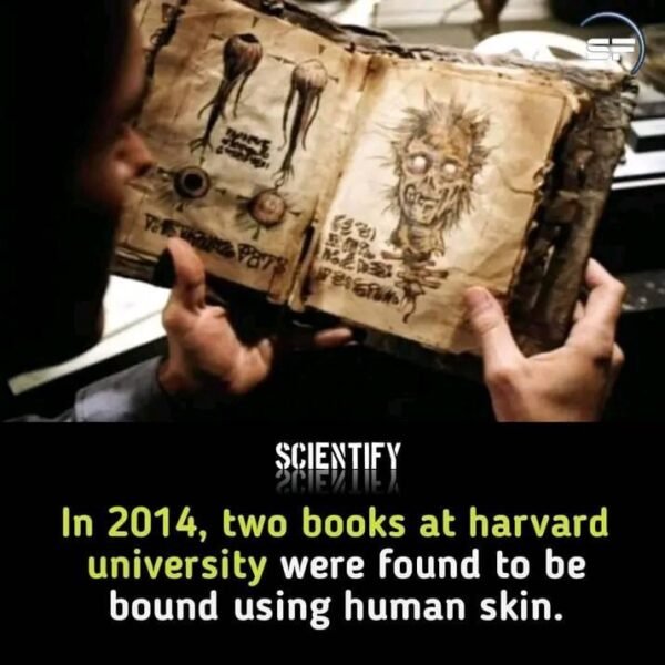 A Historical Artifact at Harvard: The Tale of the Human Skin Book