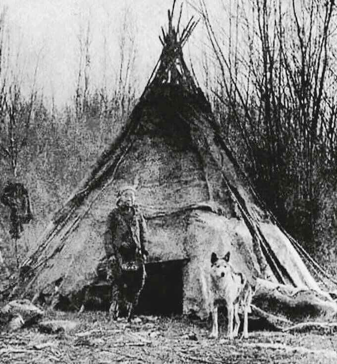 The Sacred Bond: Exploring the Native Americans&#8217; Relationship with Wolves