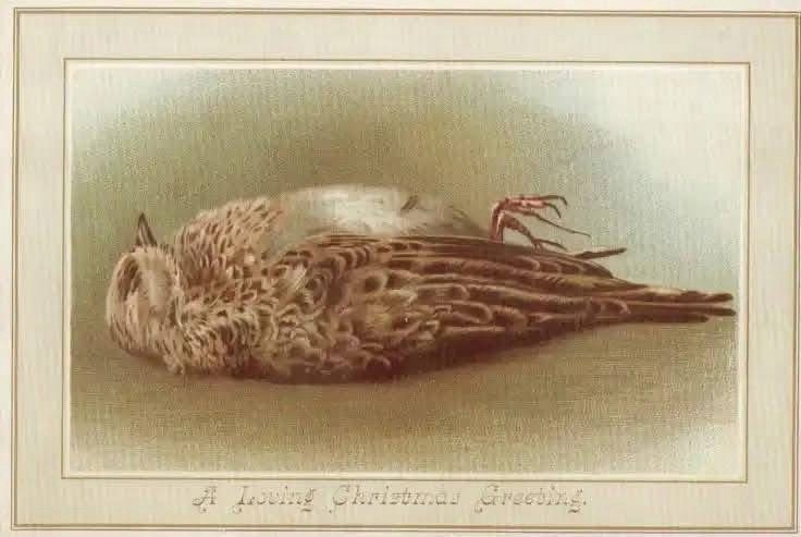 Creepy Postcards of the 1800s and Why They Were Totally Normal